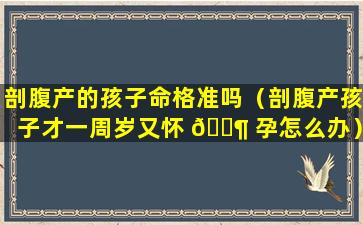 剖腹产的孩子命格准吗（剖腹产孩子才一周岁又怀 🐶 孕怎么办）